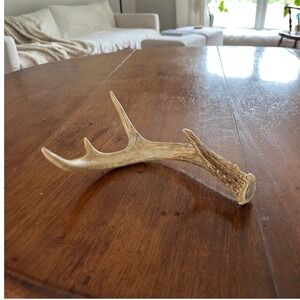 Natural Deer Antler